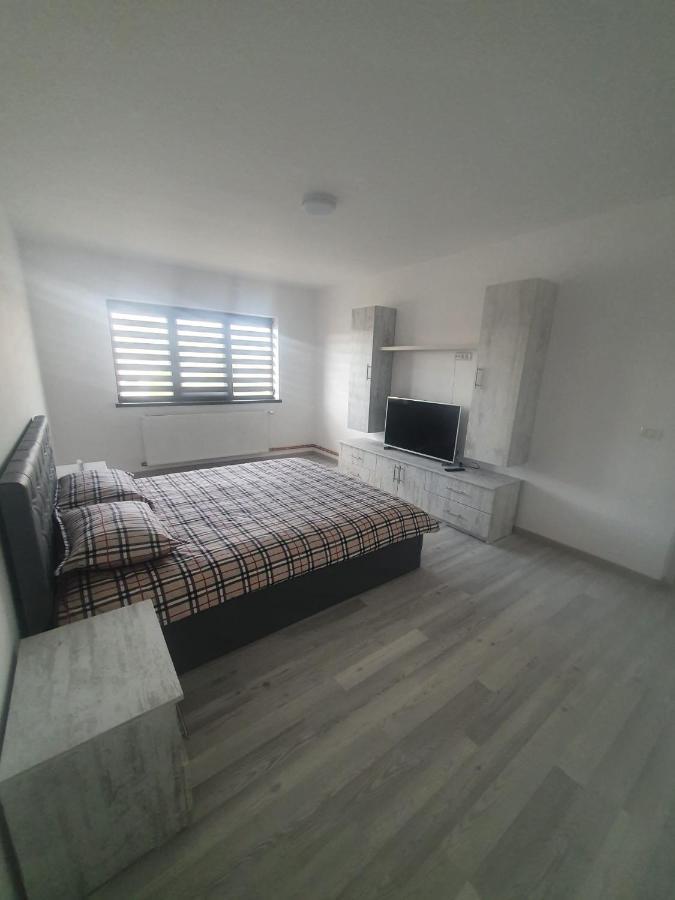 Apartament Nicole Curtea de Argeş Exteriér fotografie